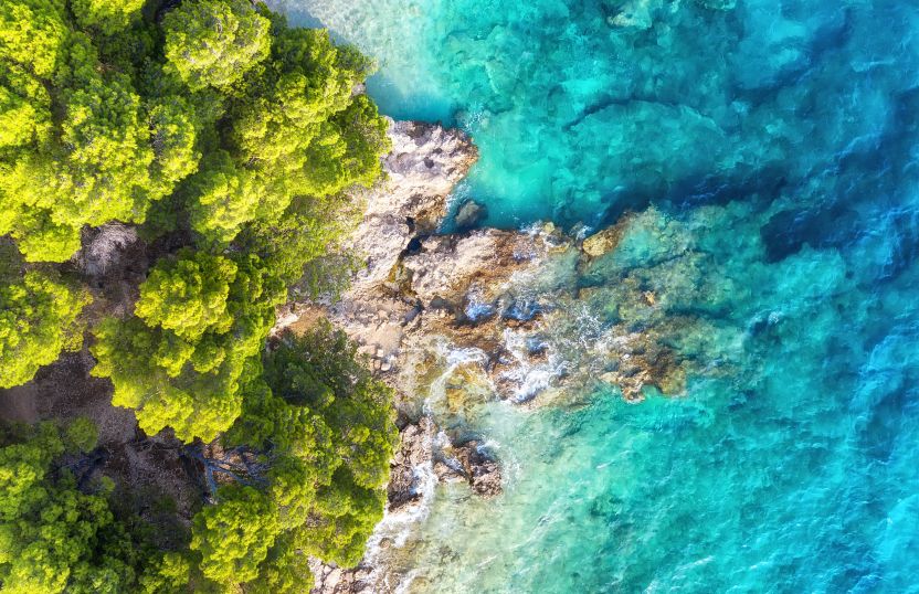 Cozumel: Un Paraíso Entre Mar Turquesa y Arrecifes | #DIATravel